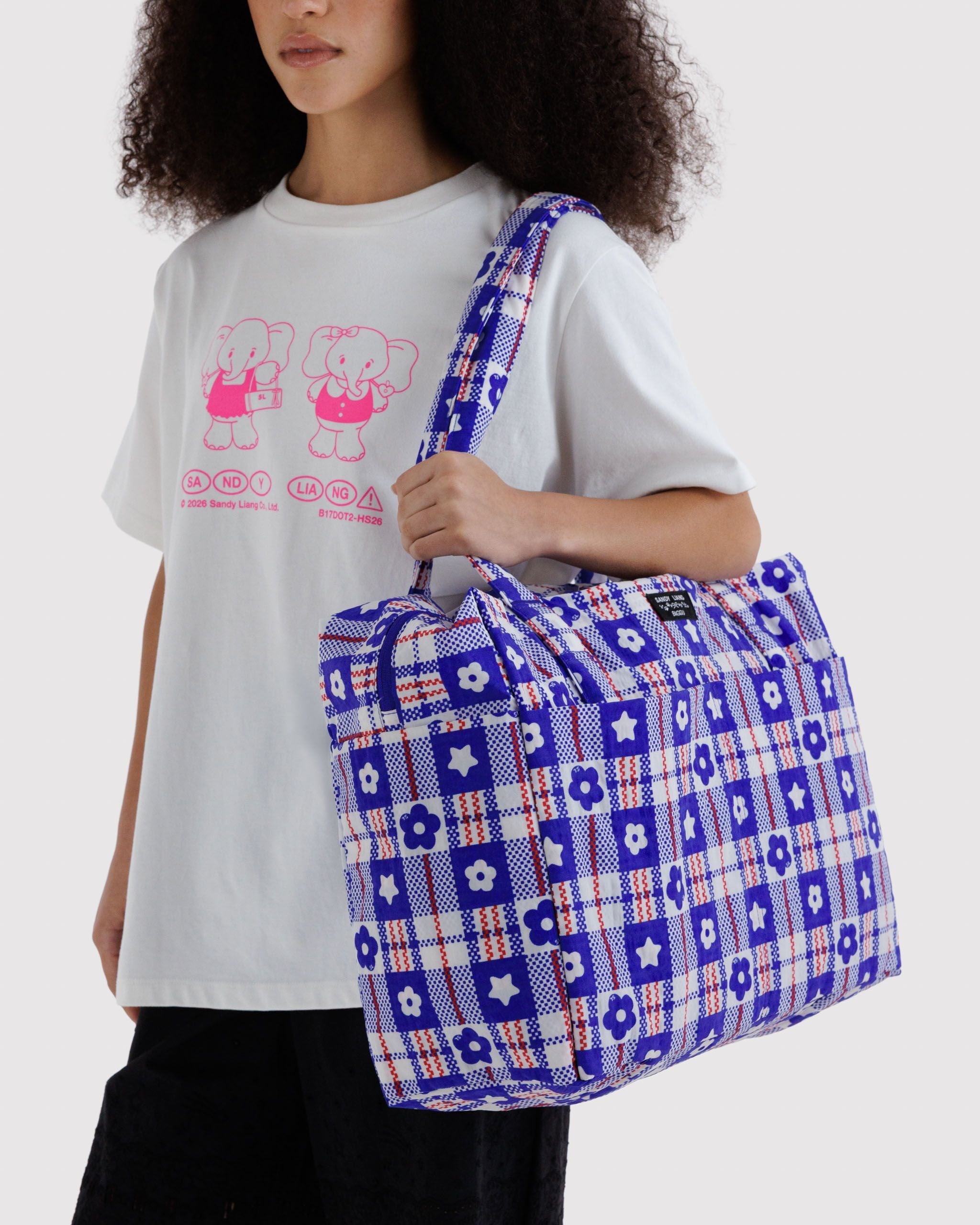 Cloud Carry-On in Market Plaid Blue - Organized Travel Carry